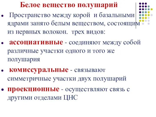 Белое вещество полушарий Пространство между корой и базальными ядрами занято