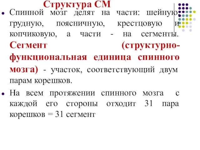 Структура СМ Спинной мозг делят на части: шейную, грудную, поясничную,