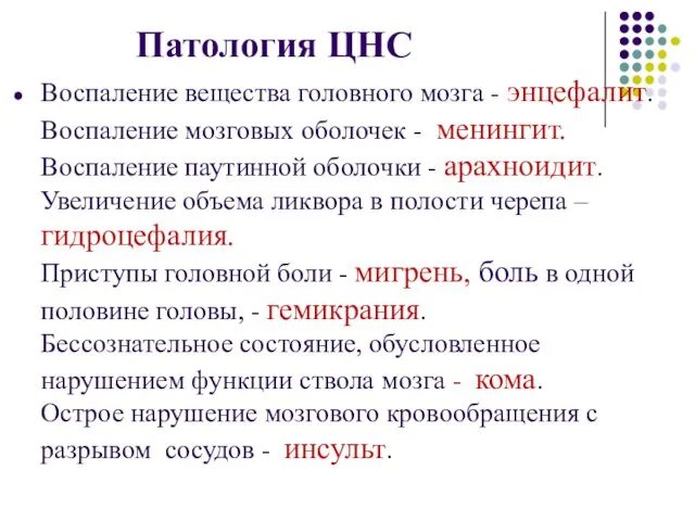 Патология ЦНС Воспаление вещества головного мозга - энцефалит. Воспаление мозговых