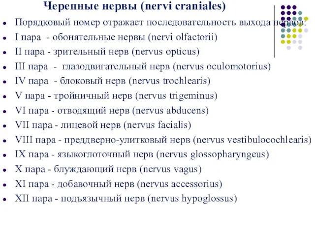 Черепные нервы (nervi craniales) Порядковый номер отражает последовательность выхода нервов: