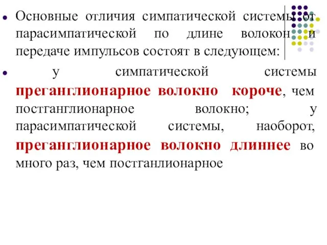 Основные отличия симпатической системы от парасимпатической по длине волокон и