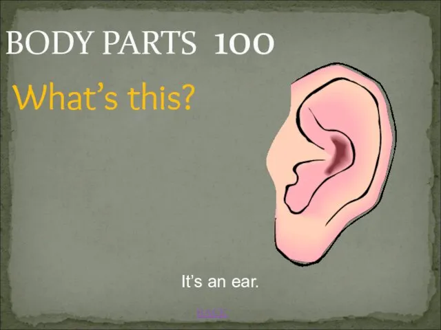 BODY PARTS 100 BACK It’s an ear. What’s this?