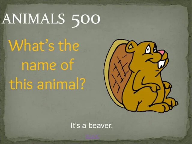 BACK It’s a beaver. ANIMALS 500 What’s the name of this animal?