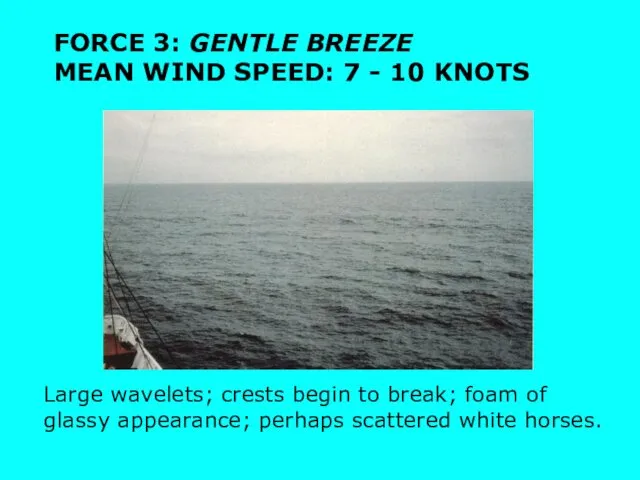 Large wavelets; crests begin to break; foam of glassy appearance; perhaps scattered white horses.