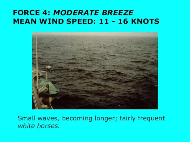 Small waves, becoming longer; fairly frequent white horses.