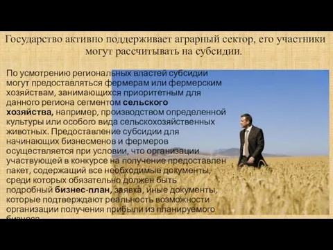 Государство активно поддерживает аграрный сектор, его участники могут рассчитывать на субсидии. По усмотрению