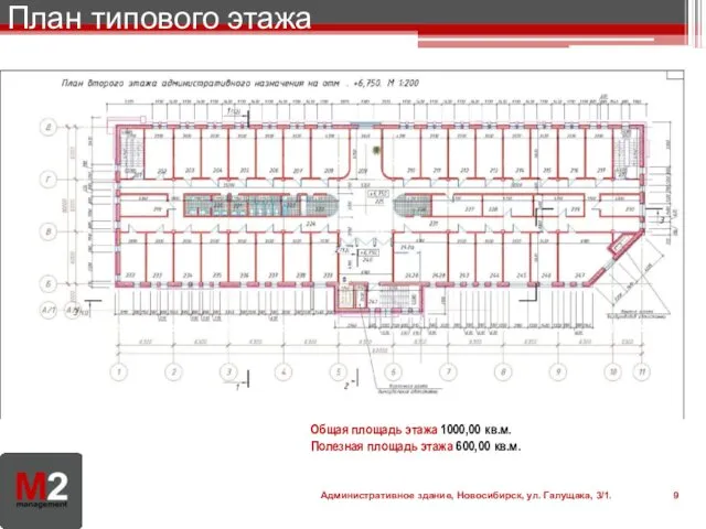 План типового этажа Административное здание, Новосибирск, ул. Галущака, 3/1. Общая