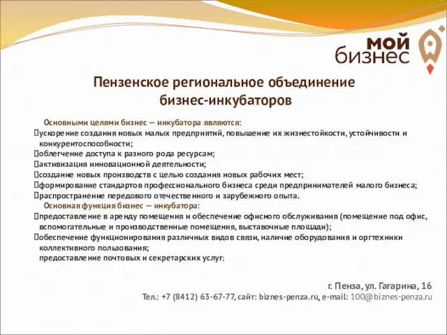 Пензенское региональное объединение бизнес-инкубаторов Основными целями бизнес — инкубатора являются: