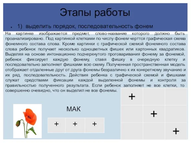 Этапы работы 1) выделить порядок, последовательность фонем На картинке изображается