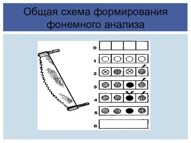 Общая схема формирования фонемного анализа