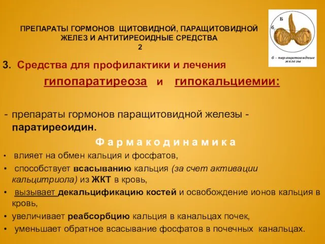 ПРЕПАРАТЫ ГОРМОНОВ ЩИТОВИДНОЙ, ПАРАЩИТОВИДНОЙ ЖЕЛЕЗ И АНТИТИРЕОИДНЫЕ СРЕДСТВА 2 3.