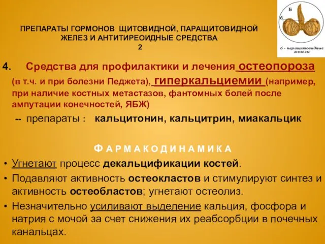 ПРЕПАРАТЫ ГОРМОНОВ ЩИТОВИДНОЙ, ПАРАЩИТОВИДНОЙ ЖЕЛЕЗ И АНТИТИРЕОИДНЫЕ СРЕДСТВА 2 4.