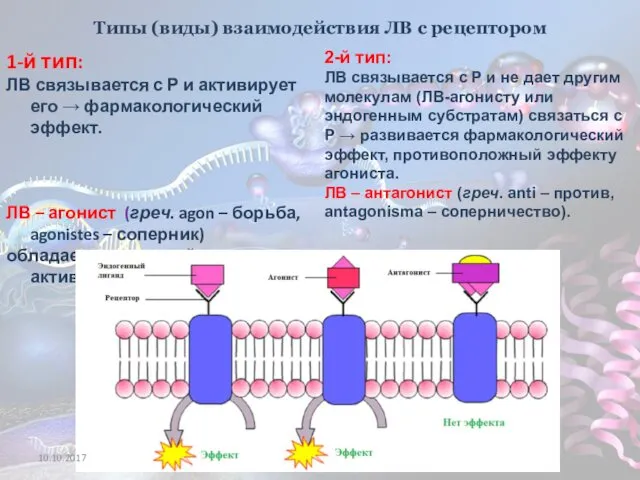 Типы (виды) взаимодействия ЛВ с рецептором 1-й тип: ЛВ связывается