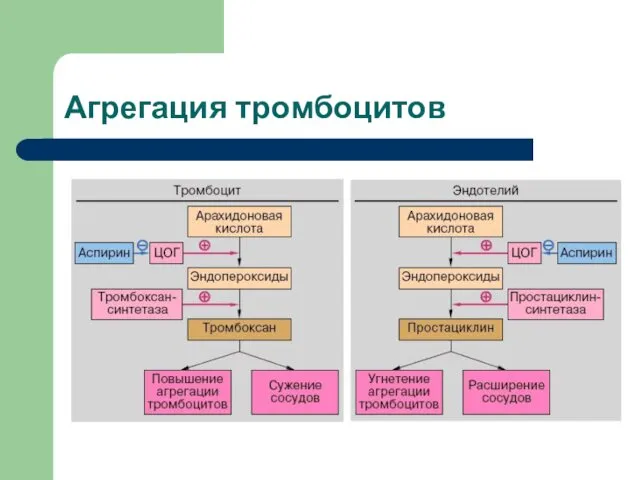 Агрегация тромбоцитов