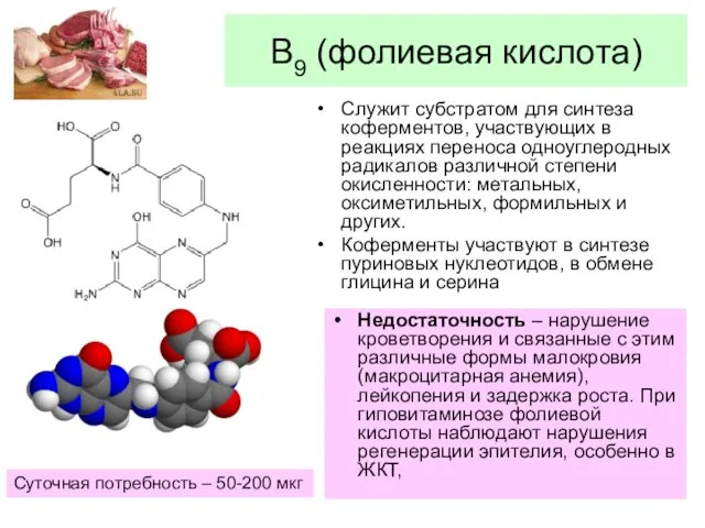 В9 (фолиевая кислота) Служит субстратом для синтеза коферментов, участвующих в