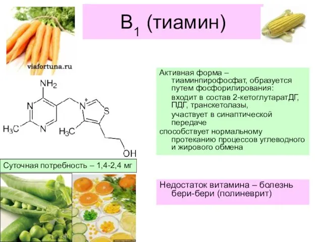 В1 (тиамин) Активная форма – тиаминпирофосфат, образуется путем фосфорилирования: входит