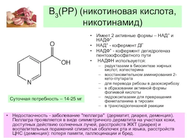 В3(РР) (никотиновая кислота, никотинамид) Имеет 2 активные формы – НАД+