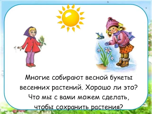 Многие собирают весной букеты весенних растений. Хорошо ли это? Что мы с вами