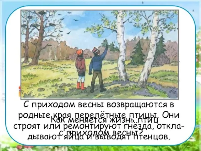 Работа в парах. Как меняется жизнь птиц с приходом весны? С приходом весны