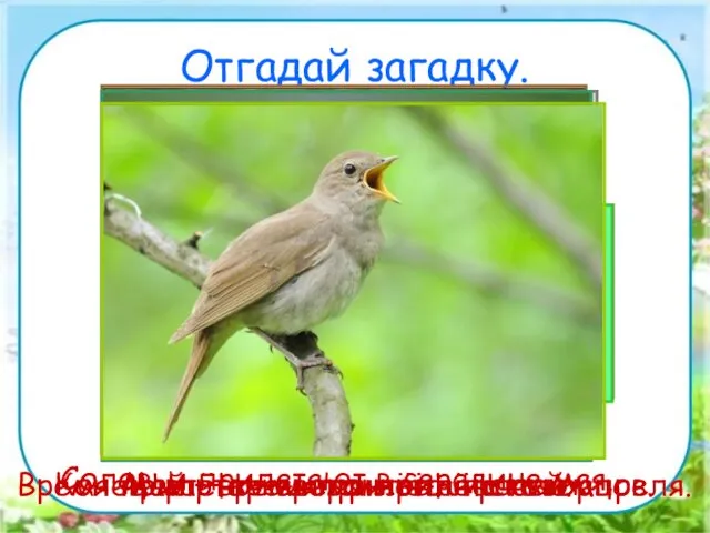 Отгадай загадку. Всех перелетных птиц черней, Чистит пашню от червей.