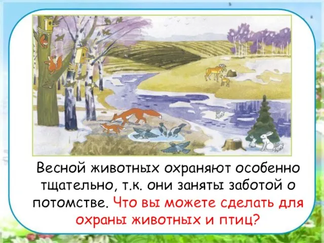 Весной животных охраняют особенно тщательно, т.к. они заняты заботой о потомстве. Что вы