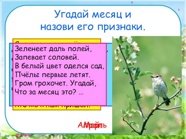 Угадай месяц и назови его признаки. Дует тёплый южный ветер, Солнышко всё ярче