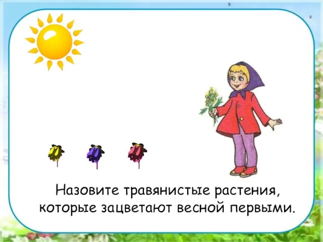 Назовите травянистые растения, которые зацветают весной первыми.