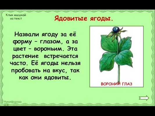 Ядовитые ягоды. Назвали ягоду за её форму – глазом, а