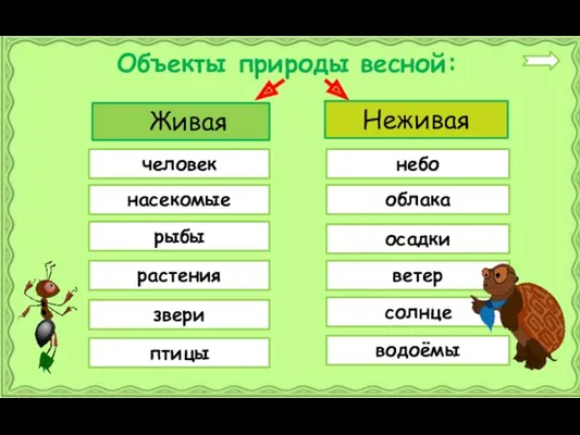 Объекты природы весной: Живая Неживая человек небо насекомые рыбы растения