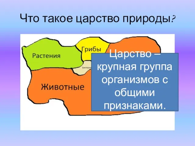 Что такое царство природы? Царство – крупная группа организмов с общими признаками.