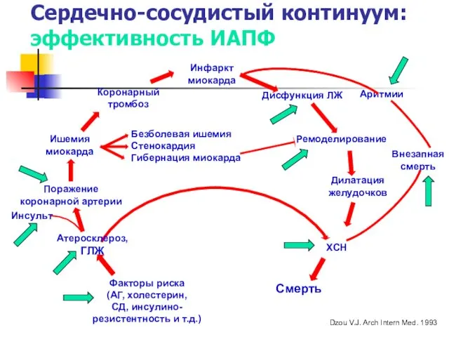 Сердечно-сосудистый континуум: эффективность ИАПФ Инфаркт миокарда Внезапная смерть Ремоделирование Дилатация желудочков ХСН Смерть