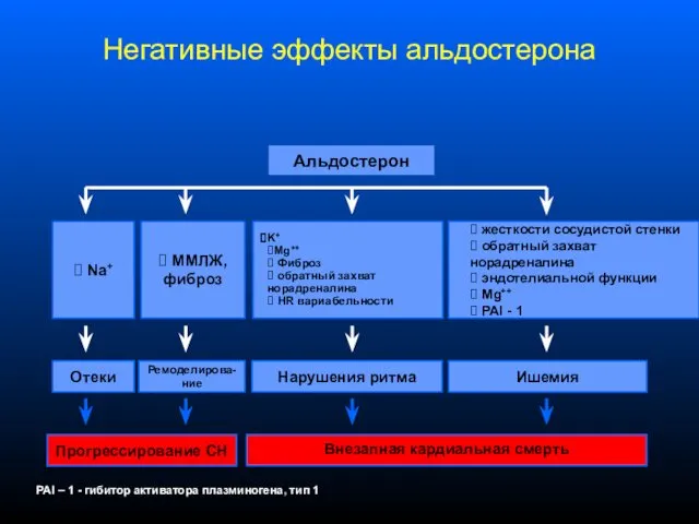 Негативные эффекты альдостерона Альдостерон Отеки Ремоделирова-ние Нарушения ритма Ишемия Прогрессирование СН Внезапная кардиальная