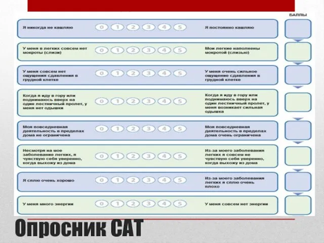 Опросник САТ