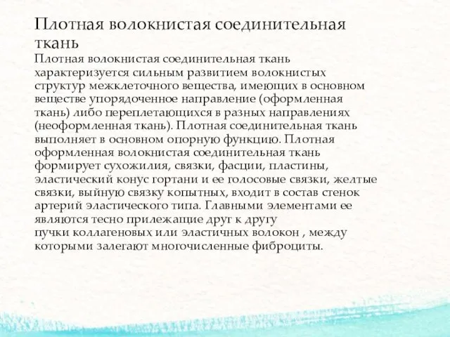 Плотная волокнистая соединительная ткань Плотная волокнистая соединительная ткань характеризуется сильным