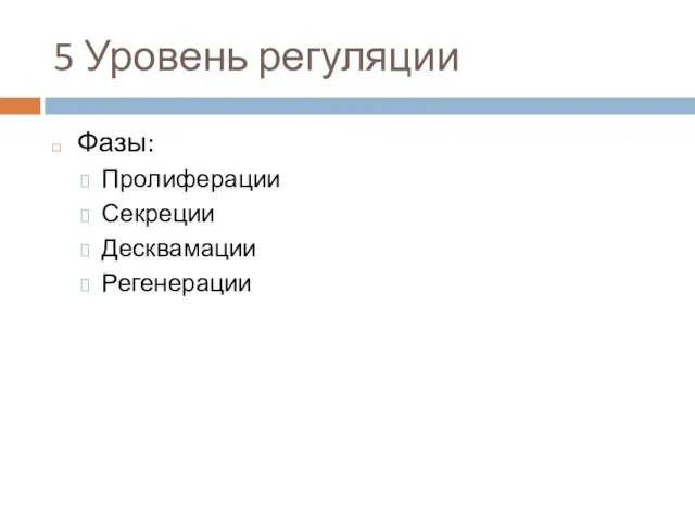 5 Уровень регуляции Фазы: Пролиферации Секреции Десквамации Регенерации