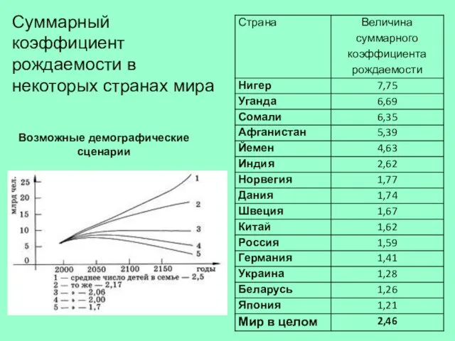 Суммарный коэффициент рождаемости в некоторых странах мира Возможные демографические сценарии