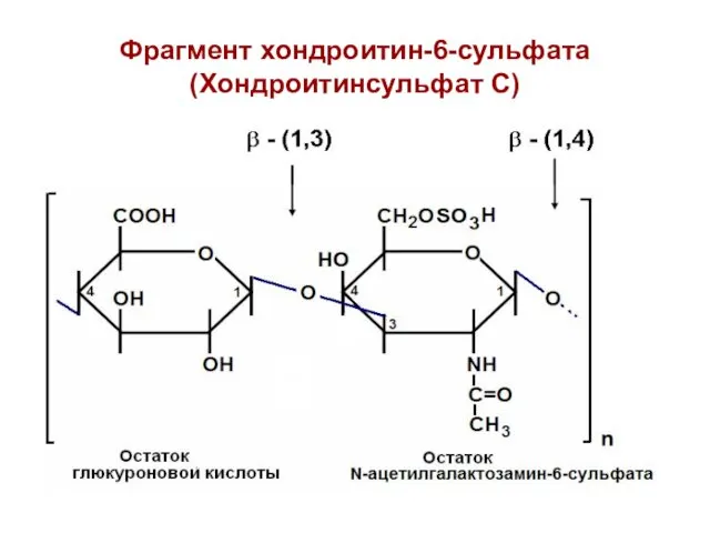 Фрагмент хондроитин-6-сульфата (Хондроитинсульфат С)