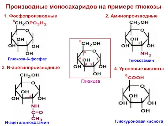 Производные моносахаридов на примере глюкозы