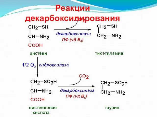 Реакции декарбоксилирования