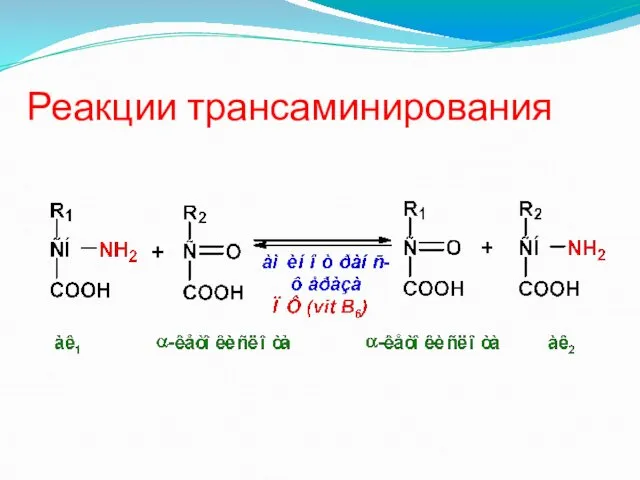 Реакции трансаминирования