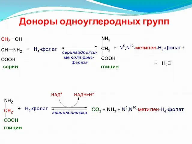 Доноры одноуглеродных групп