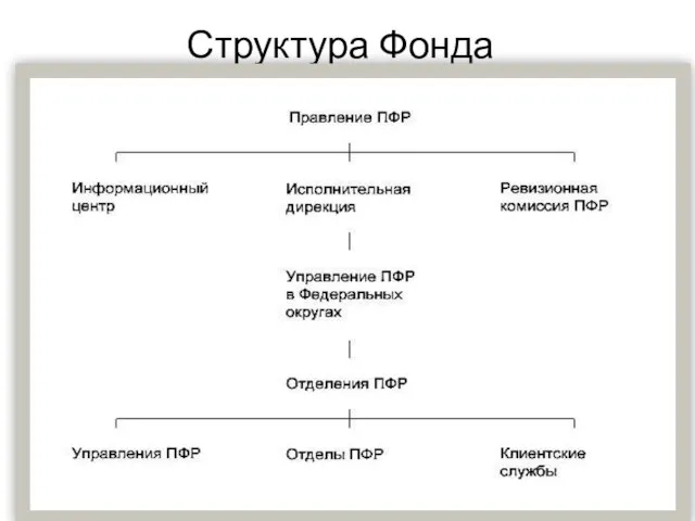 Структура Фонда
