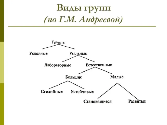 Виды групп (по Г.М. Андреевой)