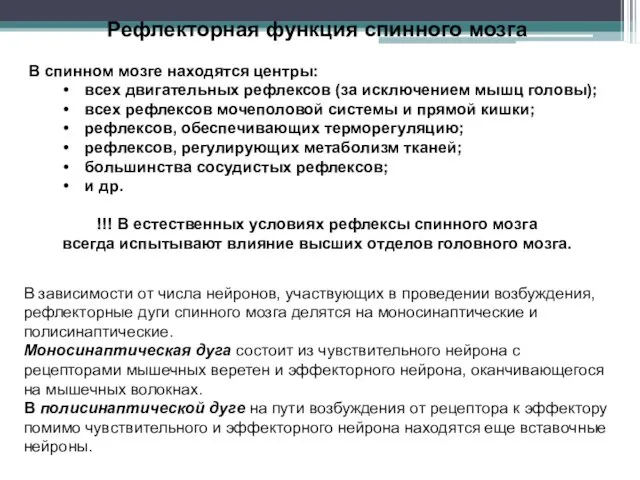 Рефлекторная функция спинного мозга В спинном мозге находятся центры: всех