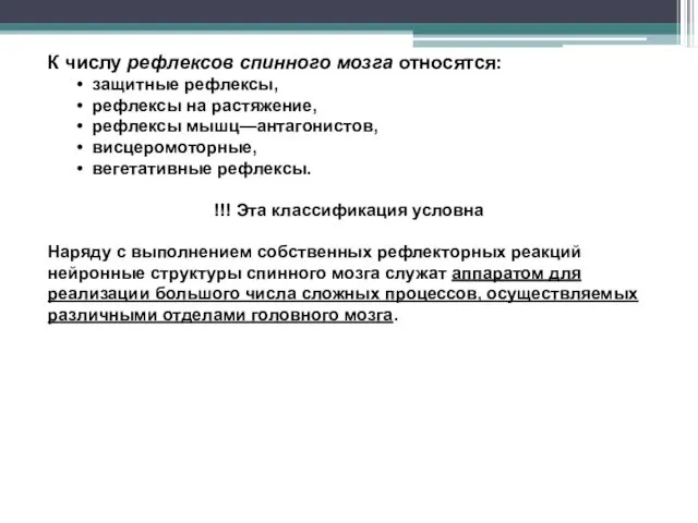 К числу рефлексов спинного мозга относятся: защитные рефлексы, рефлексы на