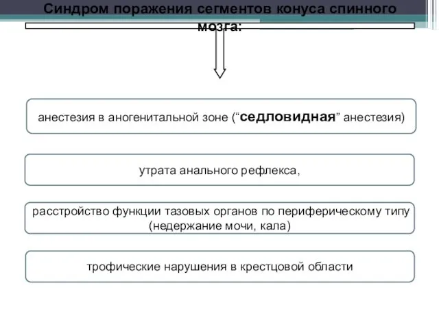 анестезия в аногенитальной зоне (“седловидная” анестезия) расстройство функции та­зовых органов