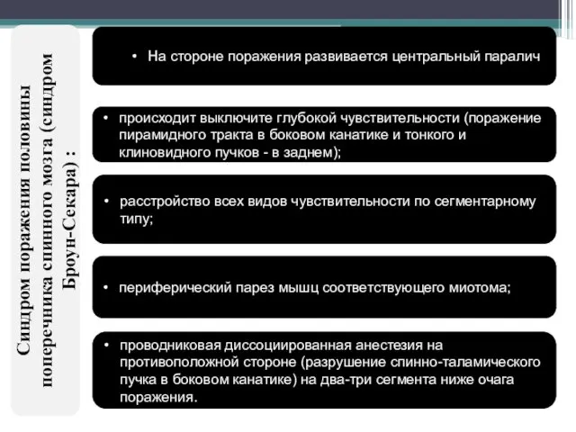 На стороне поражения развивается центральный паралич происходит выключите глубокой чувствительности