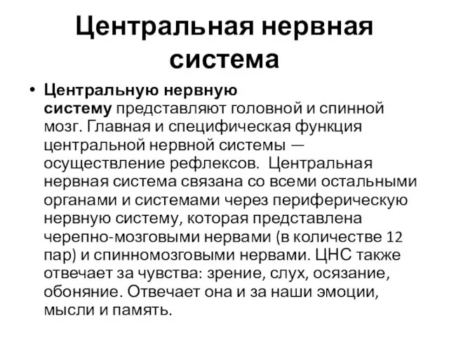 Центральная нервная система Центральную нервную систему представляют головной и спинной