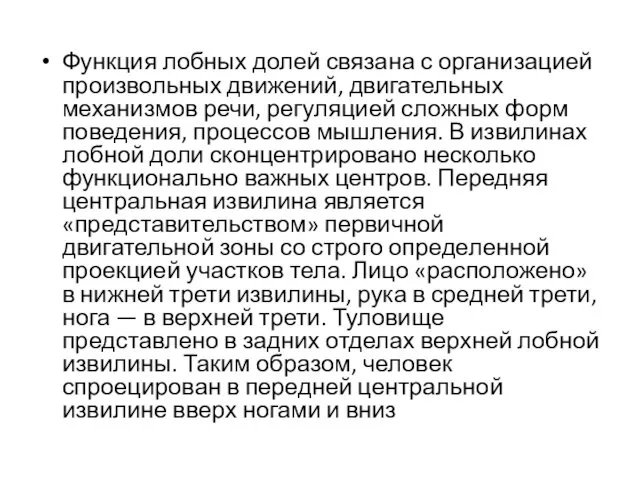 Функция лобных долей связана с организацией произвольных движений, двигательных механизмов