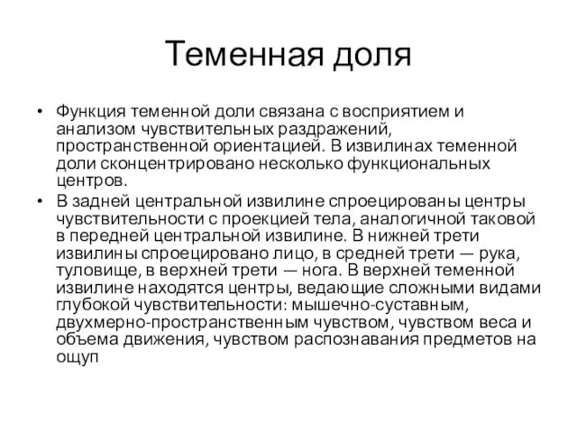 Теменная доля Функция теменной доли связана с восприятием и анализом